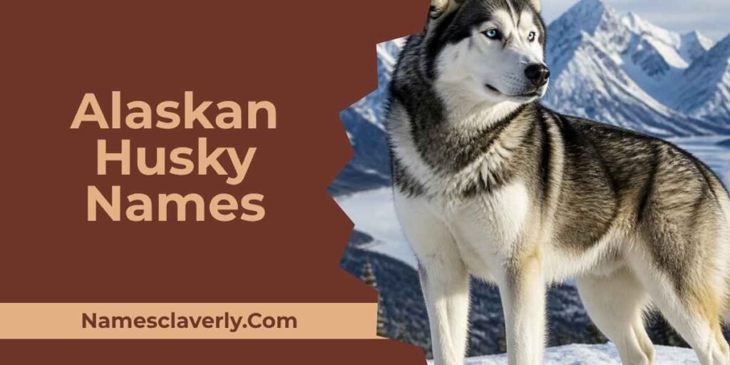 Alaskan Husky Names