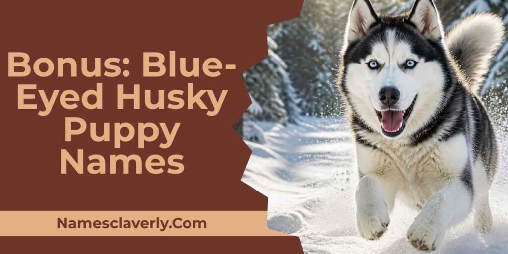 Bonus: Blue-Eyed Husky Puppy Names