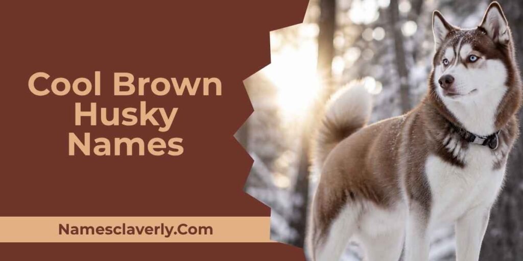 Cool Brown Husky Names