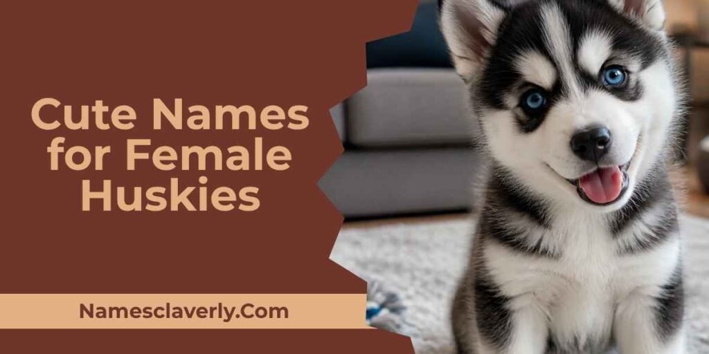 Cute Names for Female Huskies
