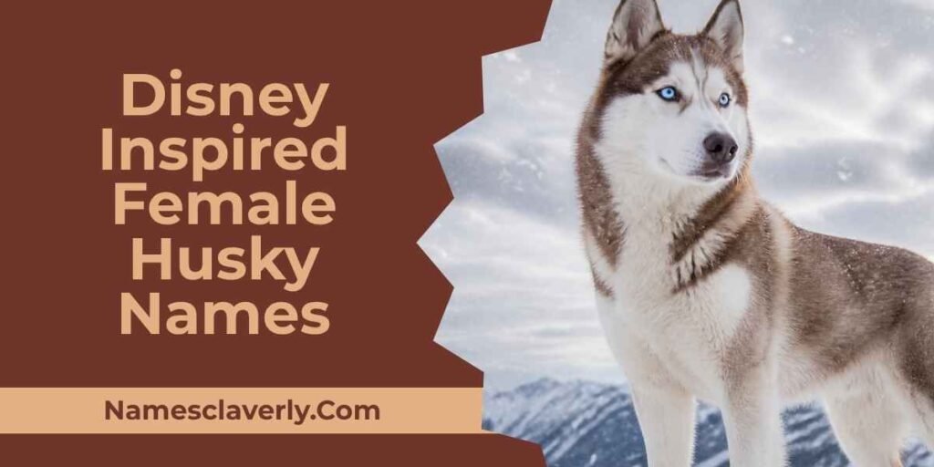 Disney Inspired Female Husky Names