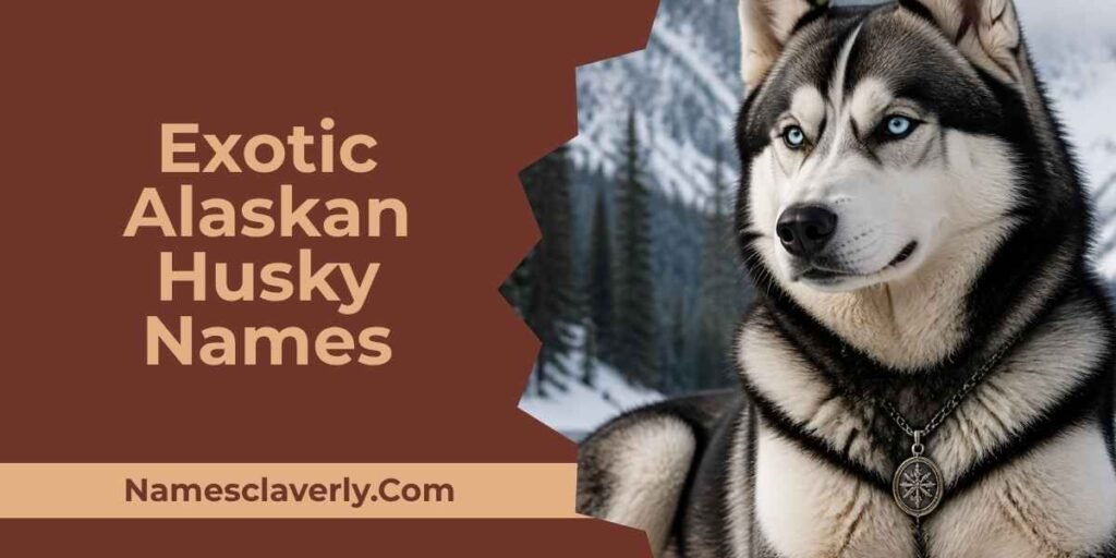 Exotic Male Husky Names