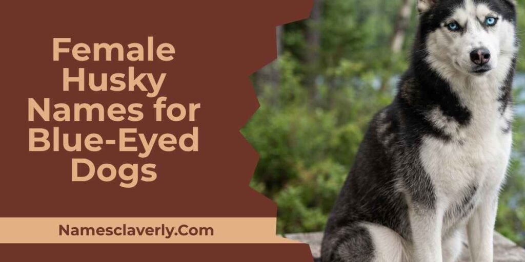 Female Husky Names for Blue-Eyed Dogs