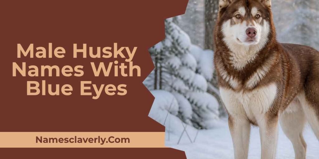Male Husky Names With Blue Eyes