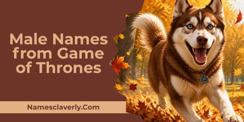 Male Names from Game of Thrones