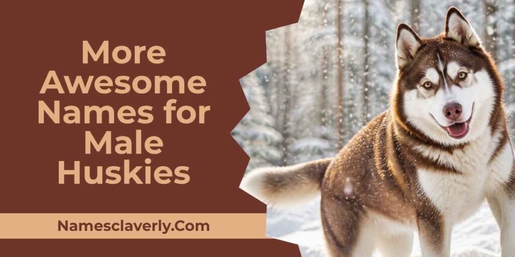 More Awesome Names for Male Huskies