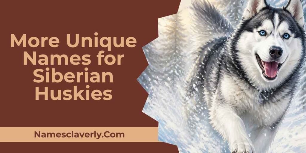 More Unique Names for Siberian Huskies