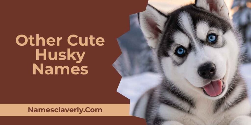 Other Cute Husky Names