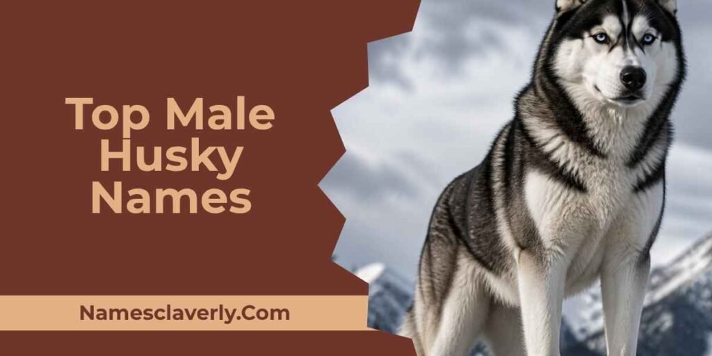 Top Male Husky Names