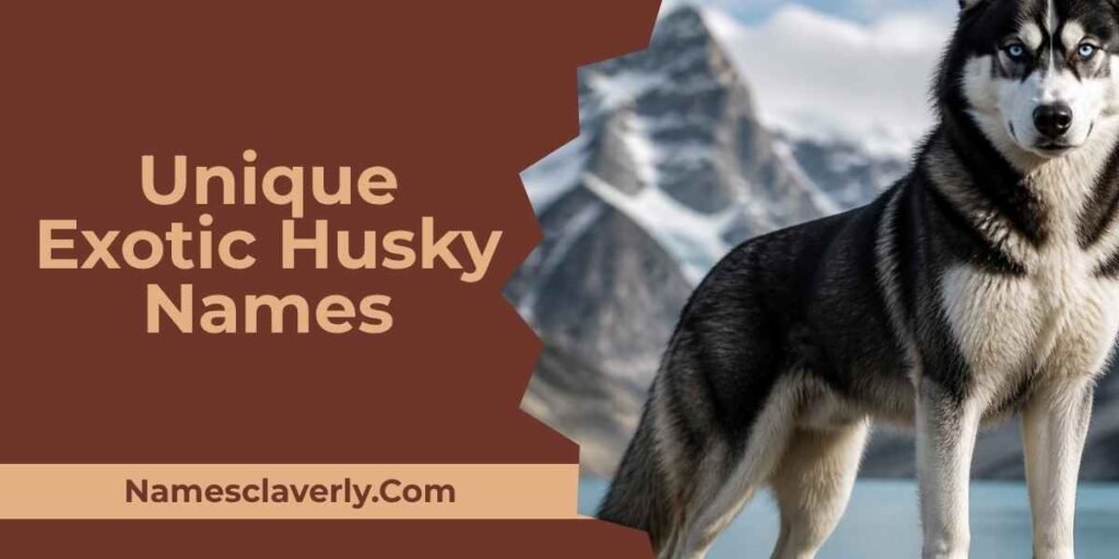 Unique Exotic Husky Names