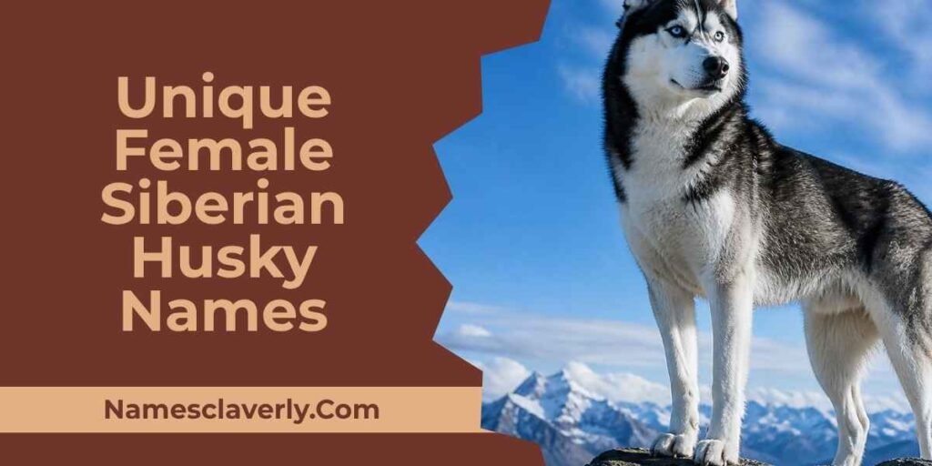 Unique Female Siberian Husky Names