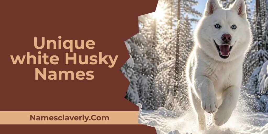 Unique white Husky Names