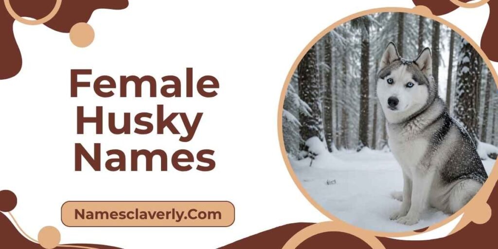 Female Husky Names