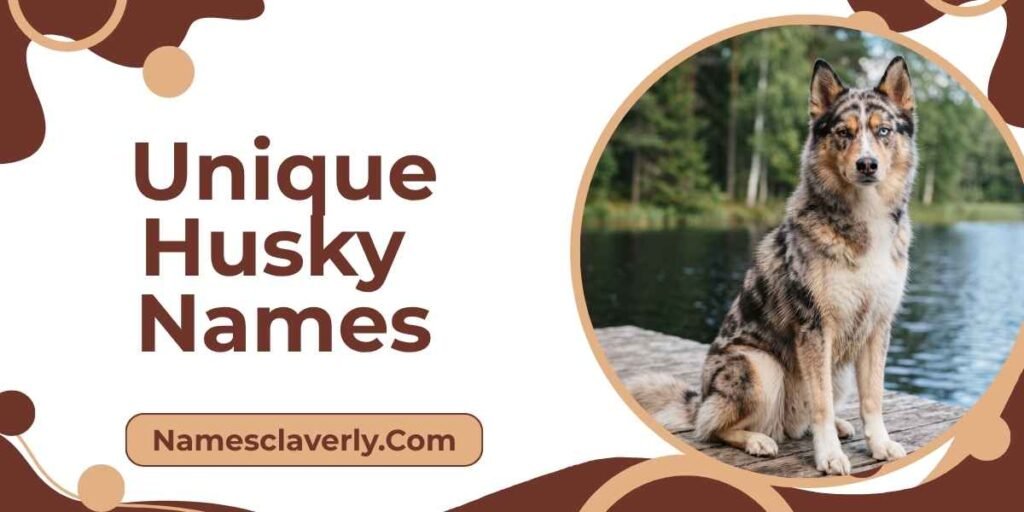Unique Husky Names
