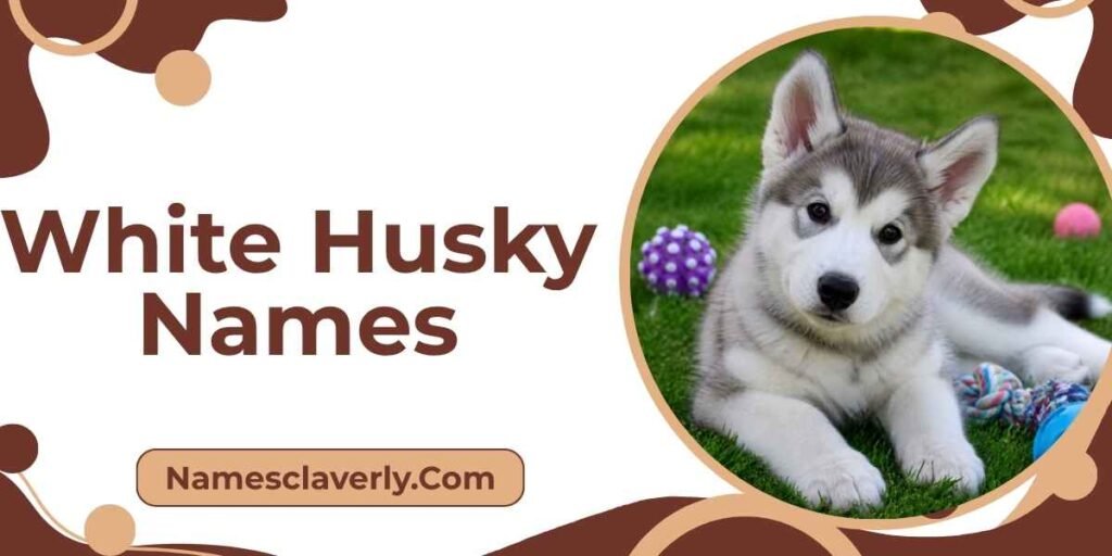 White Husky Names